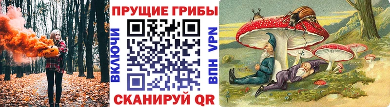 Галлюциногенные грибы мухоморы  где можно купить   Самара 