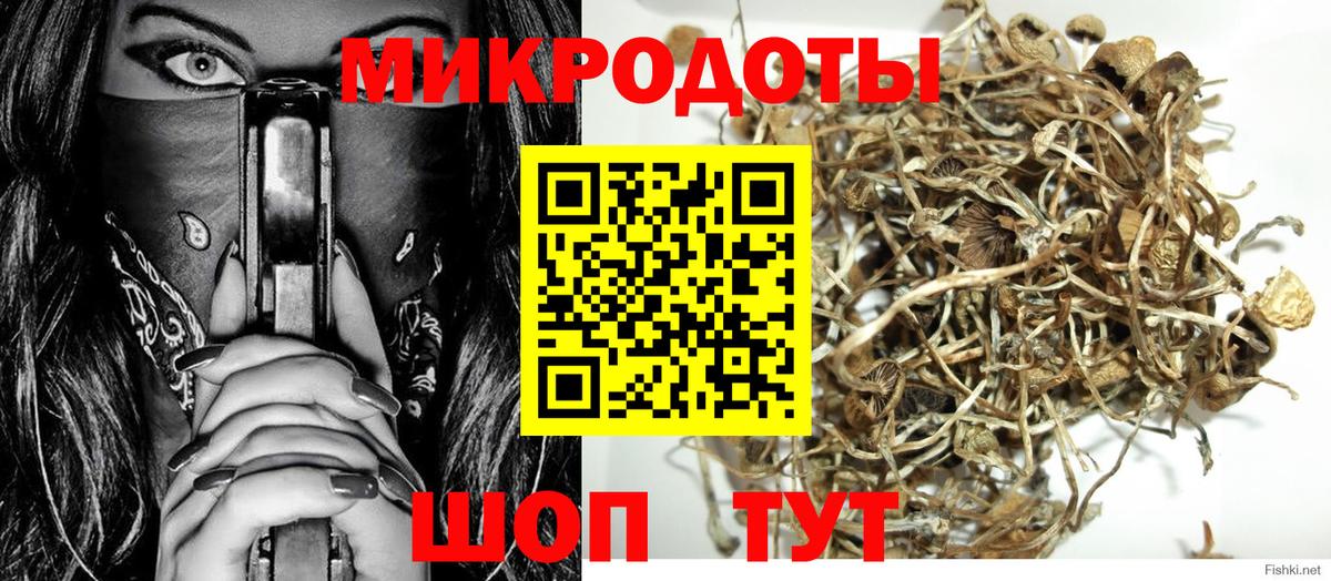 Галлюциногенные грибы Psilocybine cubensis Самара